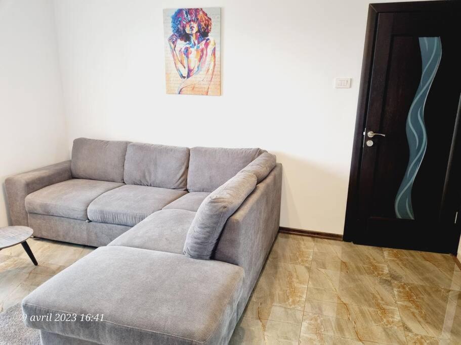 Le Nid D'Adam Apartment Zarnesti Ngoại thất bức ảnh